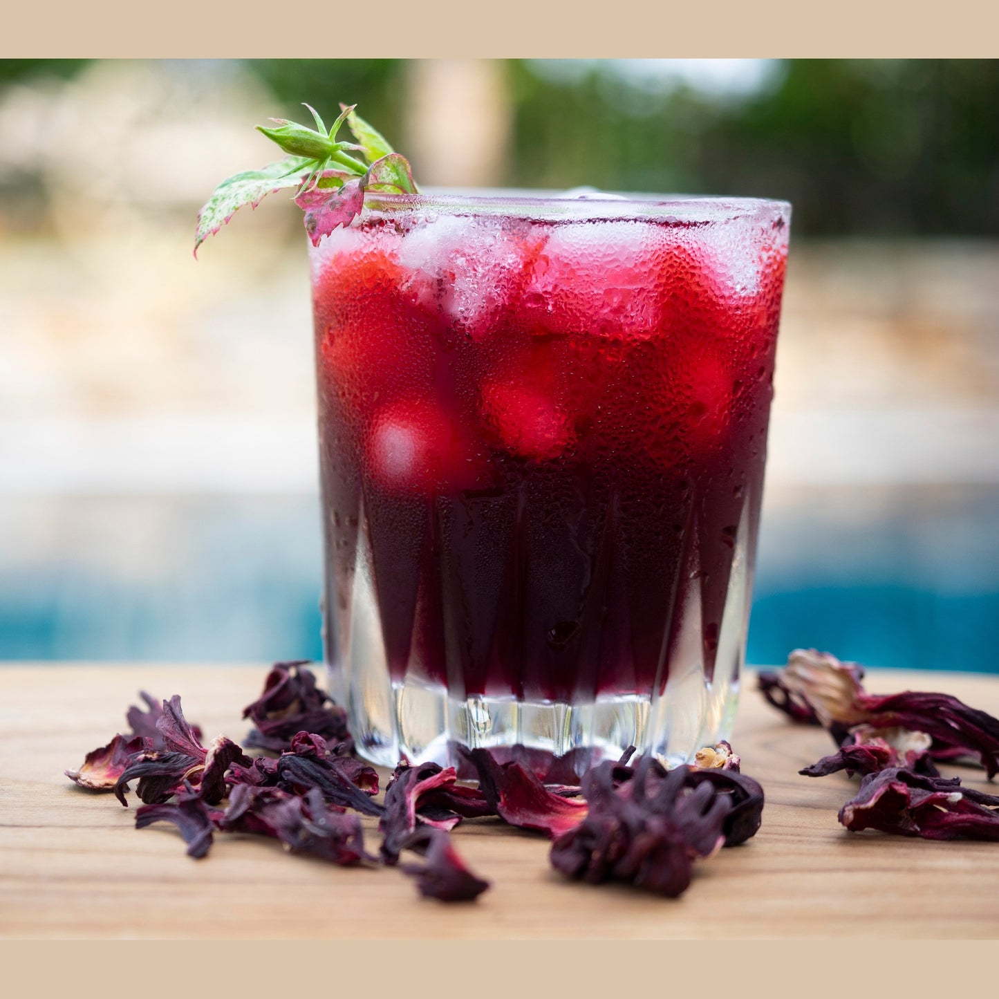 Hibiscus Tisane Starter Pack - Nuba