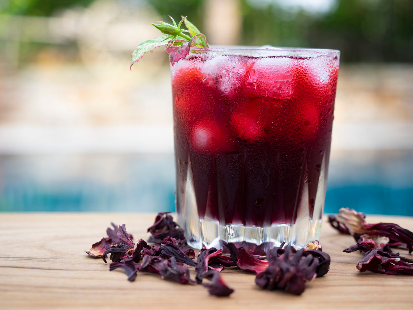 Classic Hibiscus Tisane
